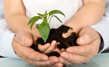 Barn tillsammans håller en planta som växer