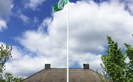 Grön flagga på flaggstång
