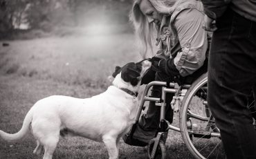 En hund nosar på en kvinna i rullstol.
