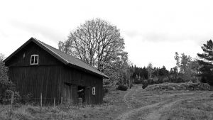 Södra Åsarp ladugård ruin
