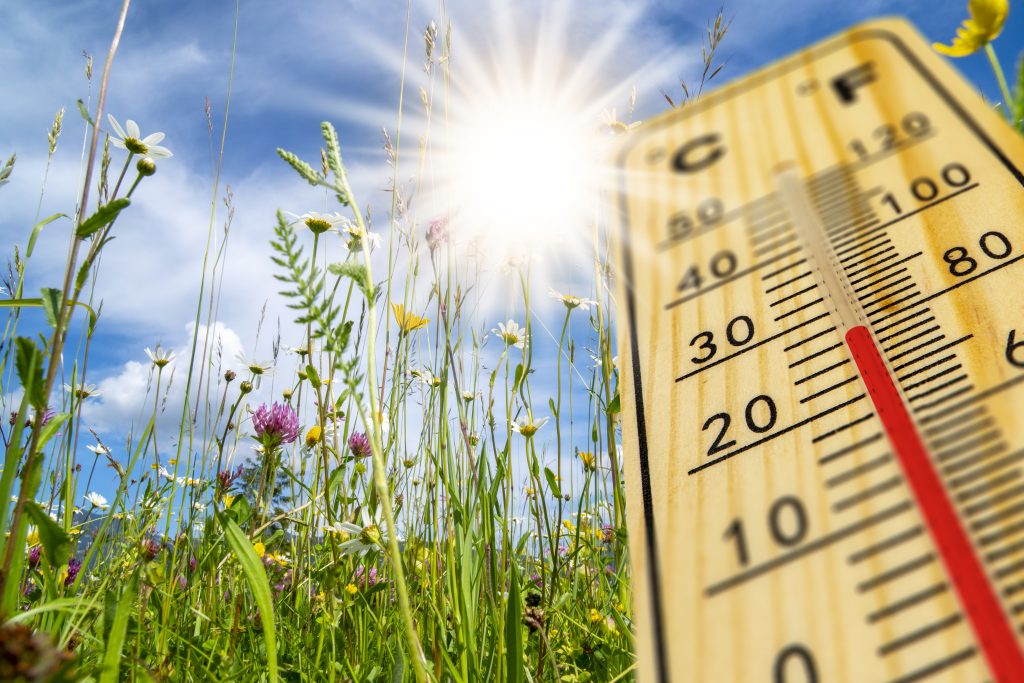 Termometer som visar upp emot 30 grader, sol och blomsteräng